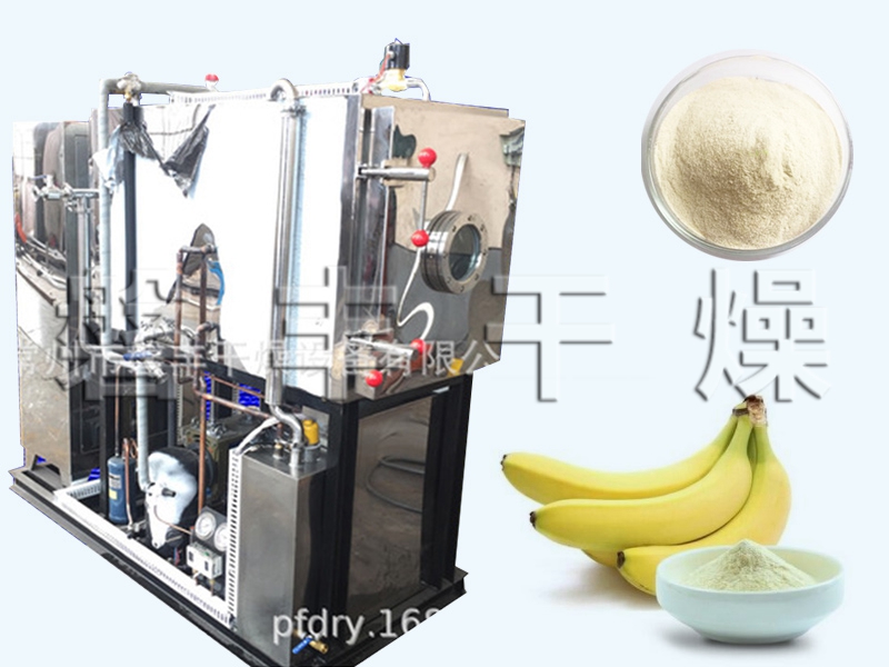 香蕉粉凍干設備