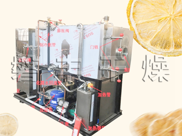 檸檬片真空凍干機