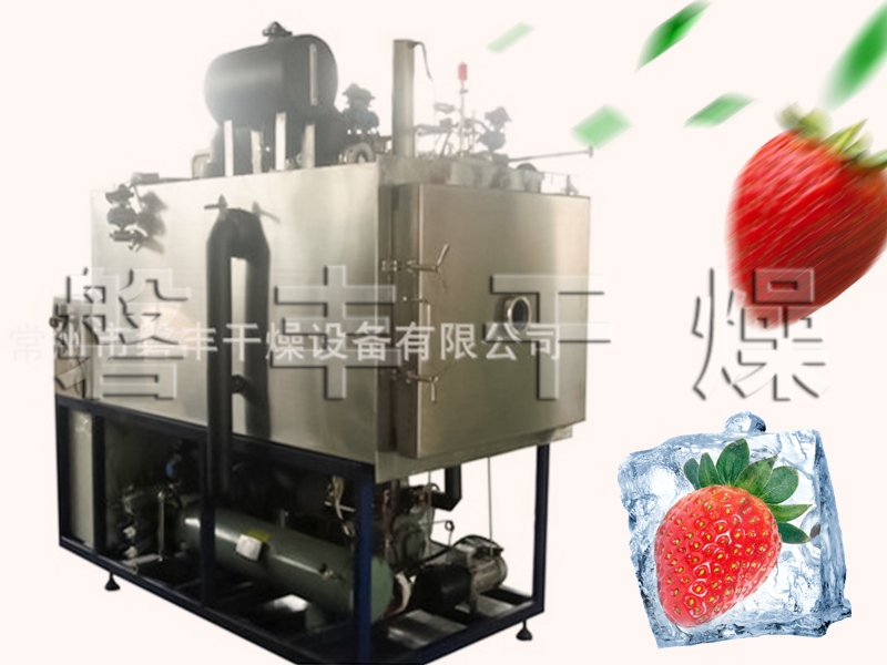 草莓真空凍干機