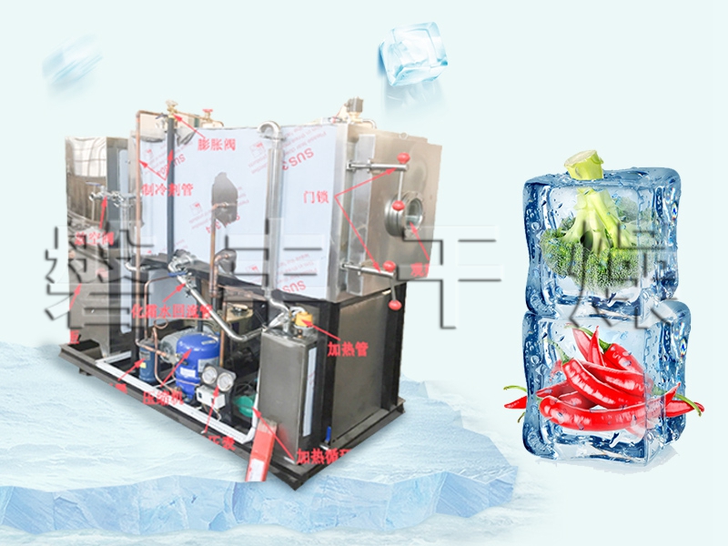 果蔬真空冷凍干燥機