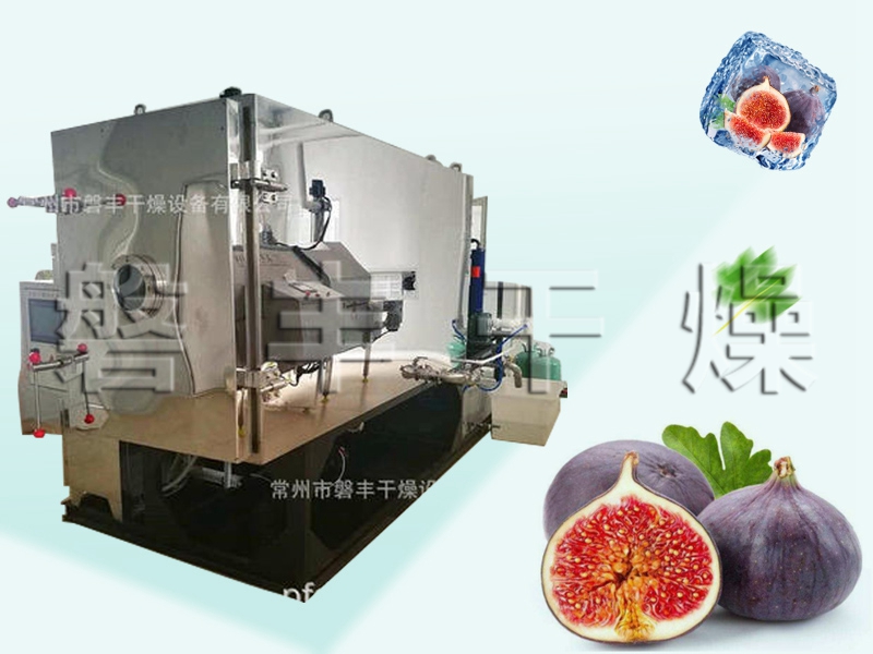 無花果真空冷凍干燥機